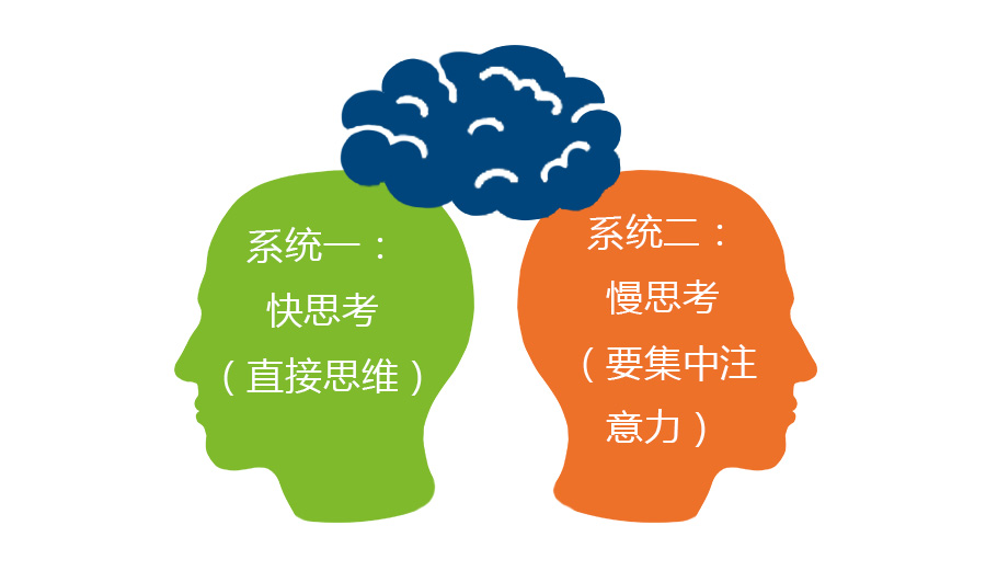 大腦的運作模式深受丹尼爾·康納曼的「雙系統理論」影響。這個理論將大腦的思考過程分為兩種模式：系統一（System 1）和系統二（System 2）。系統一負責快速、直覺、自動化的思考，它不耗費太多能量，因此大腦傾向於頻繁使用。這就是大腦「懶惰」的本能體現，它會盡可能地選擇節能的路徑。相對地，系統二則處理需要邏輯、分析、深思熟慮的複雜任務，這會消耗大量能量，所以大腦會盡量避免啟動系統二，除非必要。了解這兩種系統的差異，有助於我們理解為何大腦會偏好「懶惰」模式。此外，文章也將明確區分「懶惰」與「拖延」的本質差異。懶惰是基於大腦節能的本能反應，而拖延則是一種行為習慣，通常與情緒調節、任務困難度或缺乏動機等因素有關。